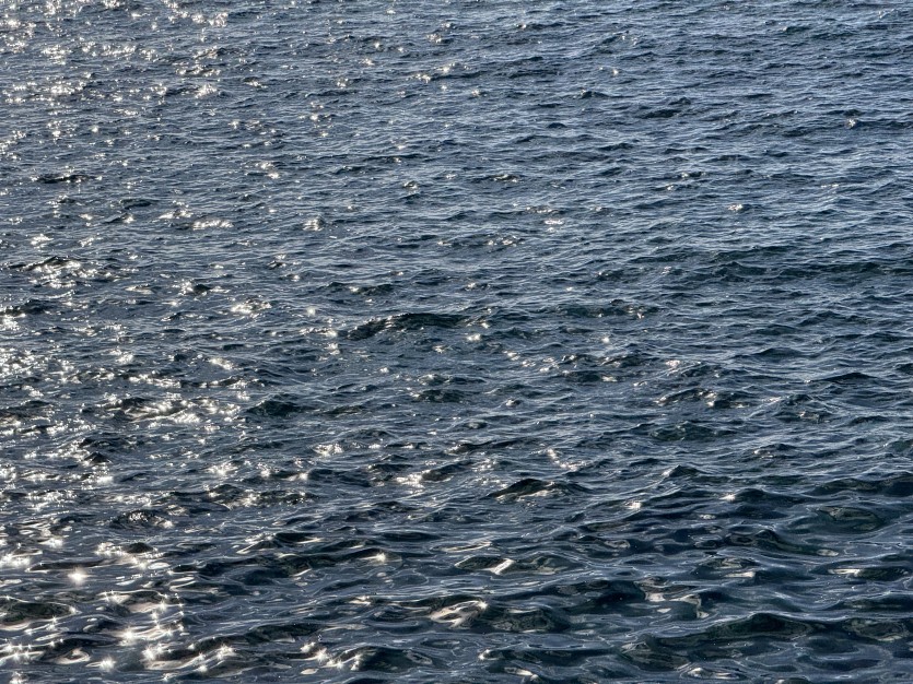 a425aa5f9174665c56e6afe4b3e8118f_1789440500_2673.jpg