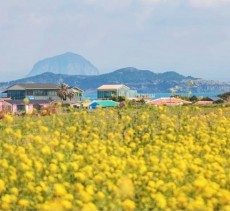 가파도정기여객선 - 2인 왕복승선권