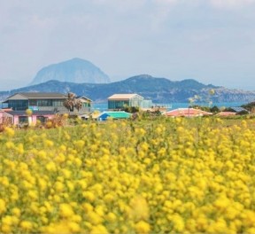가파도정기여객선 - 2인 왕복승선권