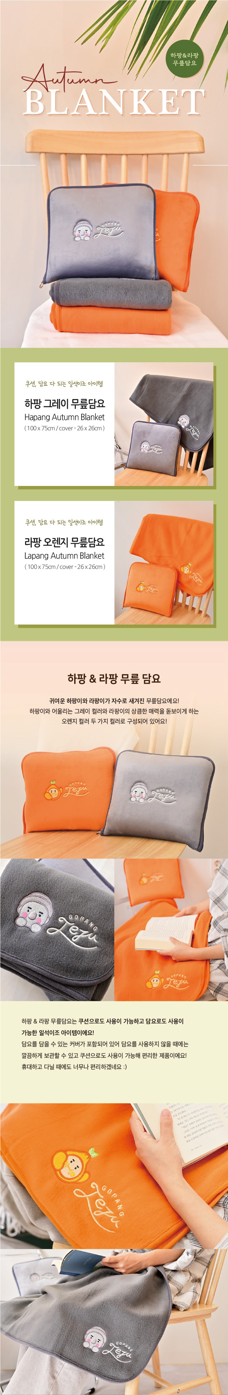 [배송]  무릎담요 - 디자인 랜덤 (총 2만원상당)