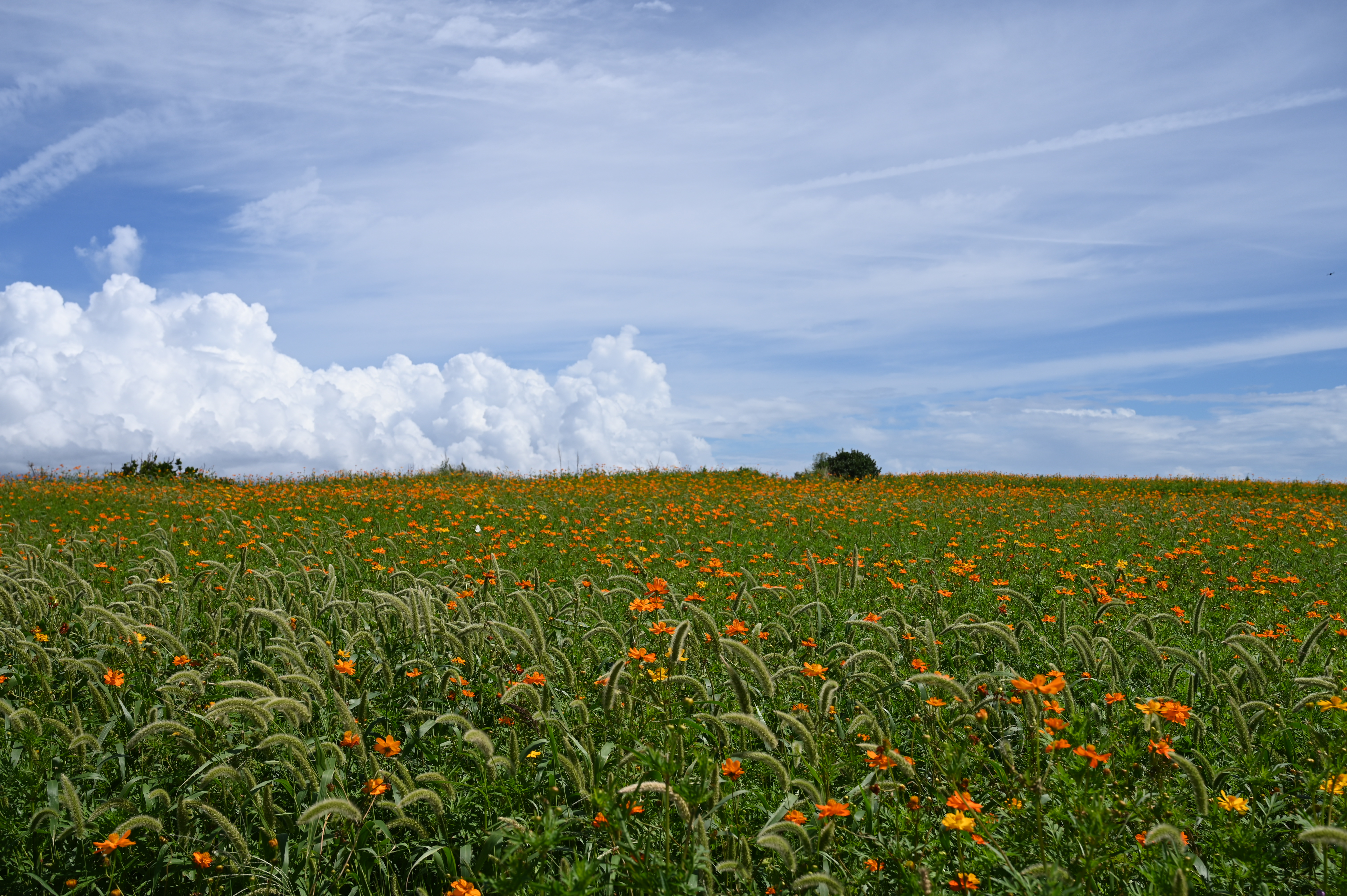가파도정기여객선 - 2인 왕복승선권