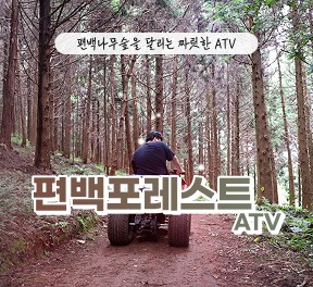 편백포레스트(릴스,클립,블로그)   -   먹이주기 체험,  atv 기본코스  4인 무료입장권 (소아포함으로 변경가능)