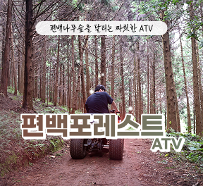 편백포레스트(릴스,클립,블로그)   -   먹이주기 체험,  atv 기본코스  4인 무료입장권 (소아포함으로 변경가능)