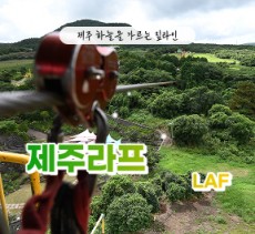 [클립/릴스 中 택1]제주라프 - 짚라인+족욕 4인  무료입장권 (소아포함으로 변경가능)