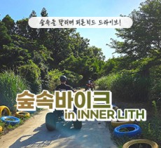[클립/릴스 中 택1]숲속바이크 - 성인4인 기준 무료 입장권 (소아포함으로 변경 가능)