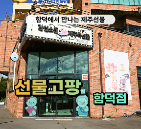 [클립/릴스 中 택1]선물고팡 함덕점