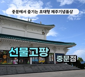 [클립/릴스 中 택1]선물고팡 중문점