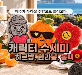 [블로그/클립/릴스 中 택1]선물고팡 캐릭터수세미 배송체험단