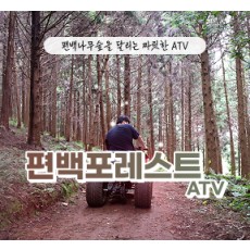 [블로그/클립/릴스 中 택1]편백포레스트